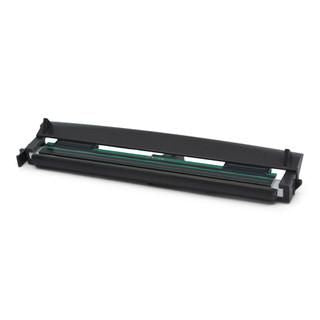 Zebra P1116110-009 print head