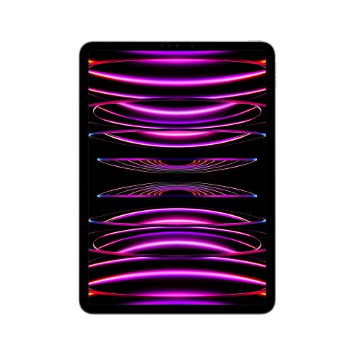Apple iPad Pro 4th Gen 11in Wi-Fi 2000GB - Space Grey