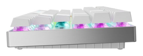 CHERRY MX 8.2 Pro TMR Wireless keyboard Gaming USB + RF Wireless + Bluetooth QWERTY US International Silver, White