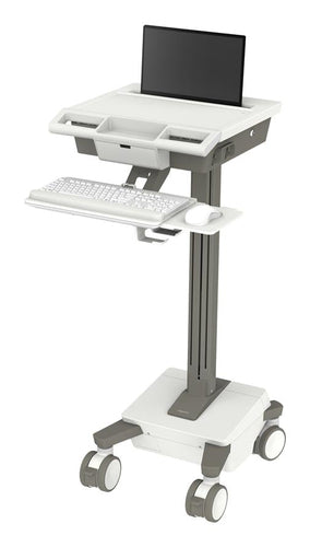 Ergotron M021-0101-100000-1-0 All-in-One PC/workstation mount/stand 19.5 kg White, Grey 43.2 cm (17")