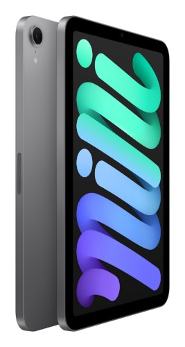Apple iPad mini Wi-Fi 128GB - Space Grey