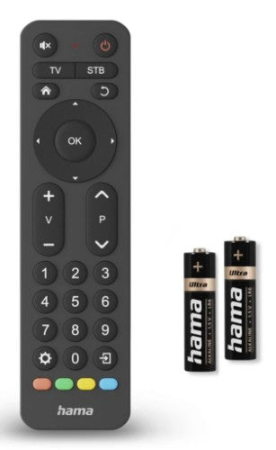 Hama 00221056 remote control IR Wireless TV Press buttons