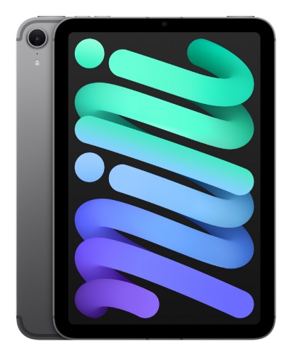 Apple iPad mini 7th Gen 8.3in Wi-Fi+Cellular 256GB - Grey