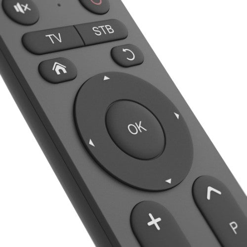 Hama 00221056 remote control IR Wireless TV Press buttons