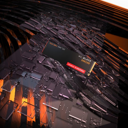 SanDisk WD_BLACK™ SN8100 NVMe™ SSD POWERED BY 4 TB