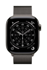 Apple MGJ14ZM/A smart wearable accessory Band Slate colour Stainless steel