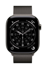 Apple MGJ74ZM/A smart wearable accessory Band Slate colour Stainless steel