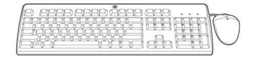 HPE 672097-143 keyboard Mouse included USB Turkish Black