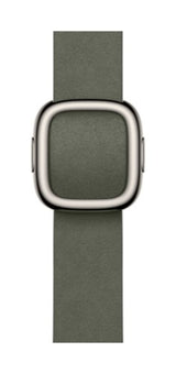Apple 42mm Sage Grey Modern Buckle - Medium
