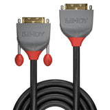 Lindy 0.5m DVI-D Dual Link Extension Cable, Anthra Line