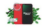 Renewd iPhone XR Coral 256GB