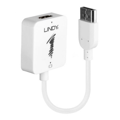 Lindy HDMI 1.4 to DisplayPort 1.1 Converter