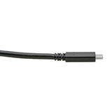 Tripp Lite U420-006 USB-C Cable (M/M) - USB 3.2, Gen 1 (5 Gbps), Thunderbolt 3 Compatible, 6 ft. (1.83 m)