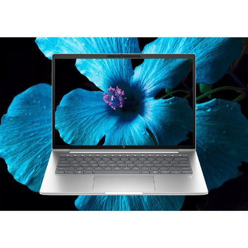 HP ProBook 4 G1i 14 inch Notebook AI PC Wolf Pro Security Edition Intel Core Ultra 7 255H Laptop 35.6 cm (14") WUXGA 24 GB DDR5-SDRAM 512 GB SSD Wi-Fi 7 (802.11be) Windows 11 Pro Silver