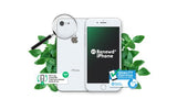 Renewd iPhone 8 Silver 64GB