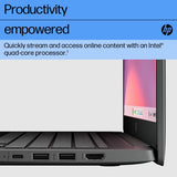 HP Chromebook Fortis G1i Intel® N N250 35.6 cm (14") HD 8 GB LPDDR5x-SDRAM 128 GB UFS Wi-Fi 6E (802.11ax) ChromeOS Black