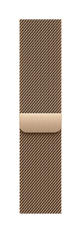 Apple MGHW4ZM/A smart wearable accessory Band Gold Stainless steel