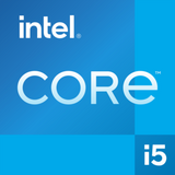 DELL Pro QCS1250 Intel® Core™ i5 i5-14500 8 GB DDR5-SDRAM 512 GB SSD Windows 11 Pro Slim PC PC Black
