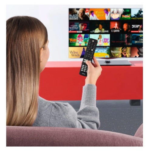 Hama 00221063 remote control IR Wireless TV Press buttons
