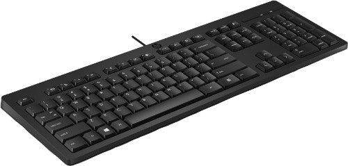 HP 125 Wired (Bulk) keyboard Office USB Black