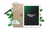 Renewd iPad 5 WiFi Gold 32GB