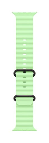 Apple Black Titanium Finish Band Green Fluoroelastomer, Titanium