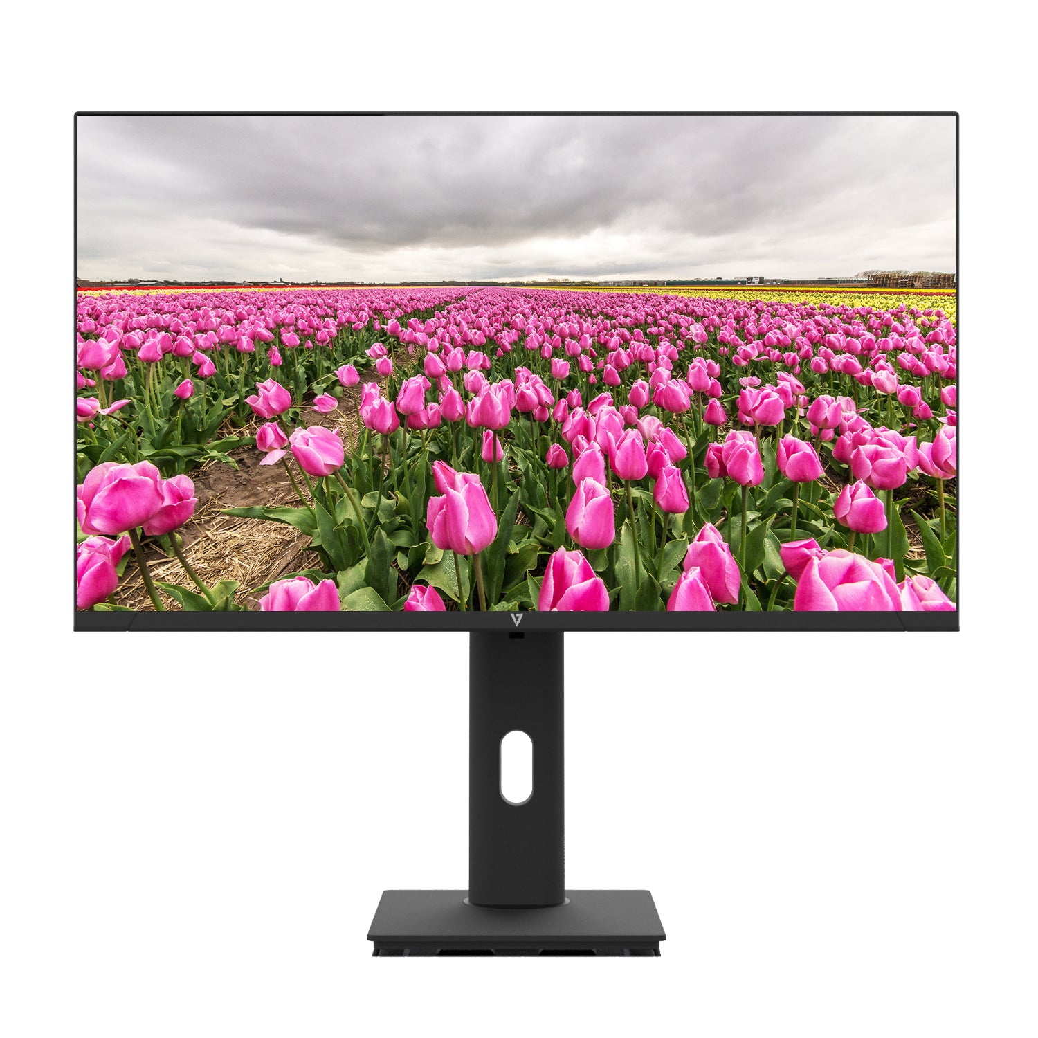 V7 23.8" FHD 1920x1080 IPS LED Monitor