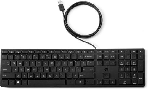 HP *Non Cancellable/Non Returnable (NCNR)* 320K WD KBD (BULK 12) keyboard USB Black