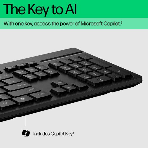 HP 125 Wired (Bulk) keyboard Office USB Black