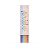 Apple 45mm Pride Edition Sport Loop