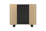 Epson ELPCS01 Mobile A/V Cabinet