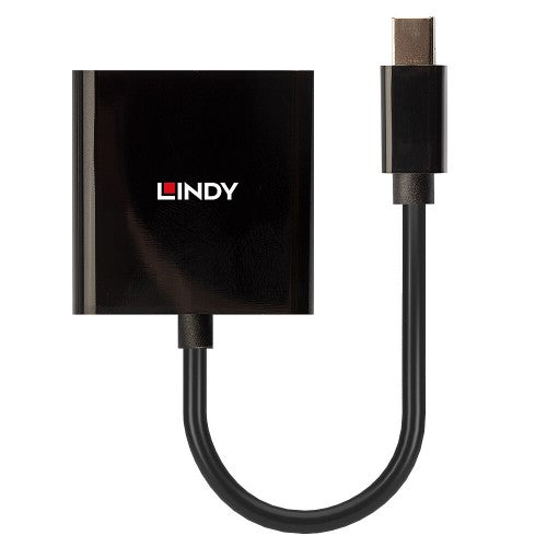 Lindy Mini DisplayPort to DVI Active Converter