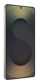 Samsung Galaxy S25 Ultra 17.5 cm (6.9") Dual SIM Android 15 5G USB Type-C 12 GB 1 TB 5000 mAh Black, Titanium