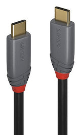 Lindy 36904 USB cable USB 3.2 Gen 2 (3.1 Gen 2) 3 m USB C Black