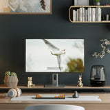 ALOGIC 32C4KPD computer monitor 81.3 cm (32") 3840 x 2160 pixels 4K Ultra HD Aluminium, Black