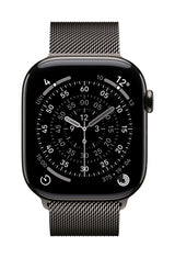 Apple MGJ74ZM/A smart wearable accessory Band Slate colour Stainless steel