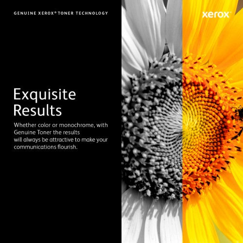 Xerox 006R04366 Toner-kit magenta high-capacity, 5.5K pages ISO/IEC 19752 for Xerox C 310