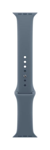 Apple MFGE4ZM/A smart wearable accessory Band Blue Fluoroelastomer