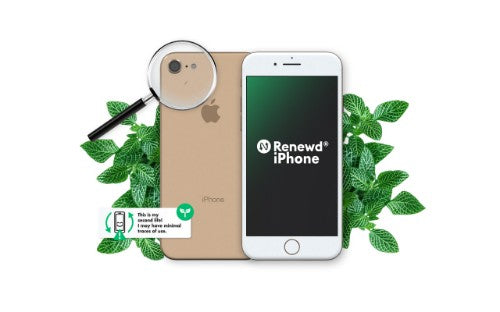 Renewd iPhone 8 Gold 64GB