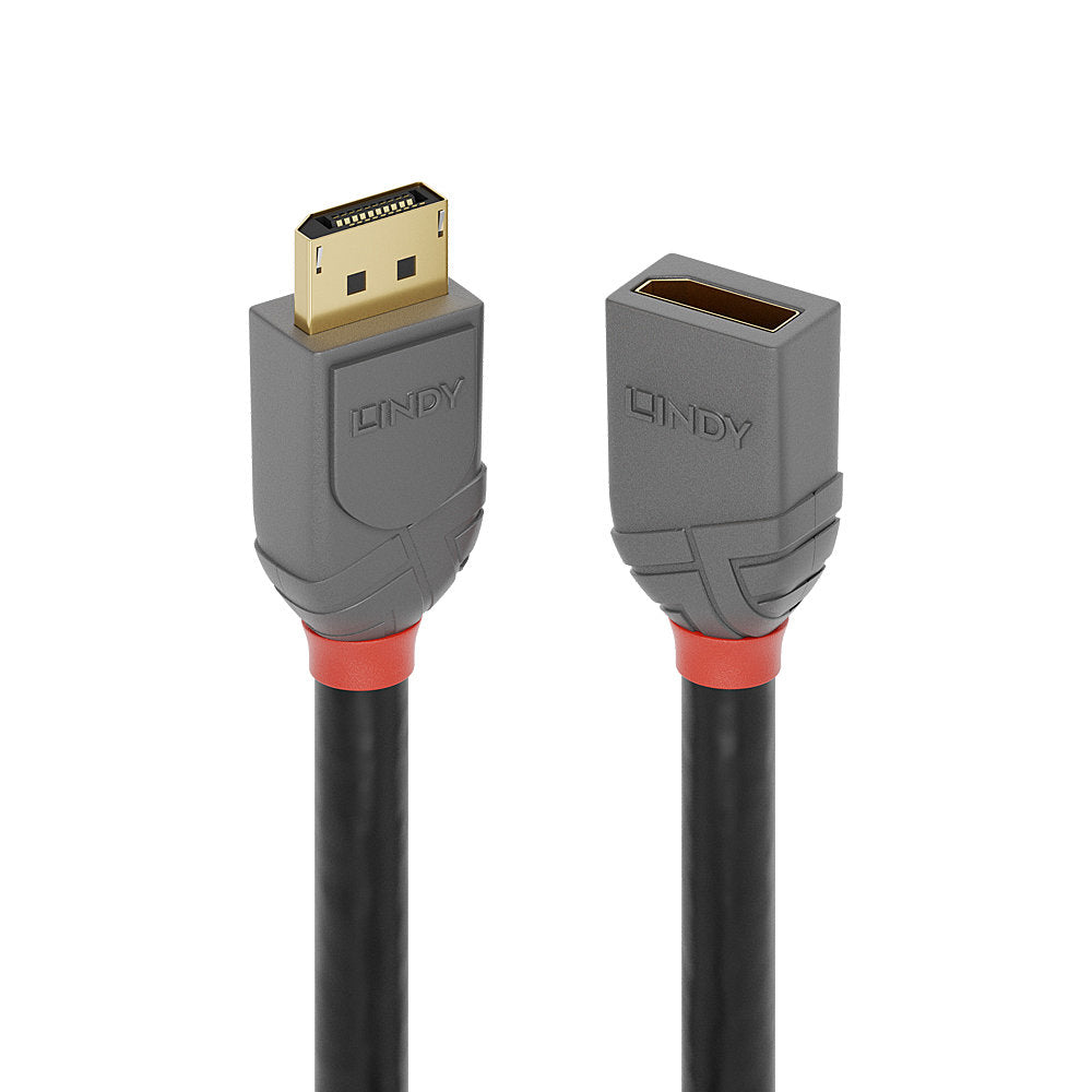 2m DisplayPort 1.4 Extension Cable