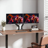 Manhattan Dual Desk Mount for TV & Monitors (Full Motion Spring), For screens 13" to 45", Clamp or Grommet Assembly, VESA compatibility: 75x75 and 100x100mm - check the dimensions of the four mounting holes on back of screen to ensure it fits, Max 20kg (e