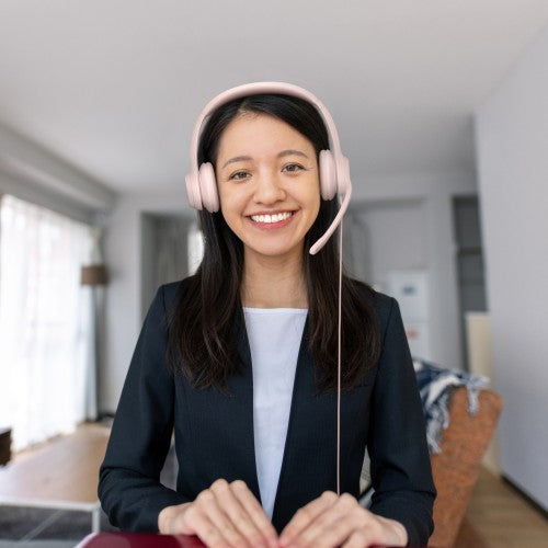 Logitech H390 USB Computer Headset