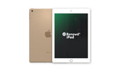 Renewd iPad 5 WiFi Gold 32GB