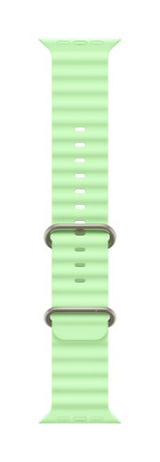 Apple Natural Titanium Finish Band Green Fluoroelastomer, Titanium