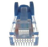 Computer Gear 7.0m RJ45/RJ45 UTP CAT5e networking cable 7 m U/UTP (UTP) Blue