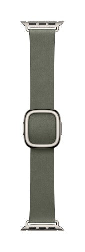 Apple 42mm Sage Grey Modern Buckle - Large