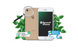 Renewd iPhone 8 Gold 64GB