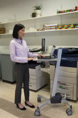 Ergotron Neo-Flex Laptop Cart Grey Multimedia cart/trolley