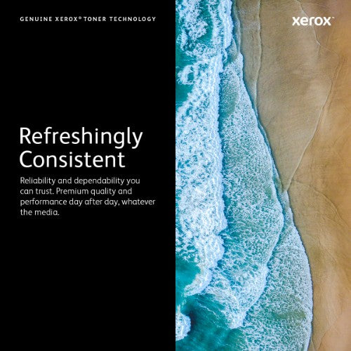 Xerox 101R00555 Drum kit, 30K pages for Xerox Phaser 3330