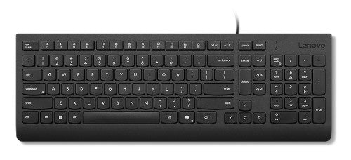 Lenovo 4Y41R64636 keyboard Home/Office USB Arabic, French Black